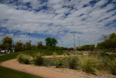 DSC_1514 (Large).JPG